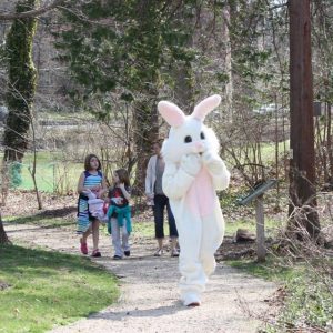 Easter Activities Union County, Everything Easter 2019! Hop To It!