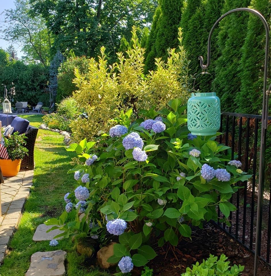 "Debra’s Simple Garden", Cranford Resident Hosts &#8220;Debra’s Simple Garden&#8221; Channel on Youtube