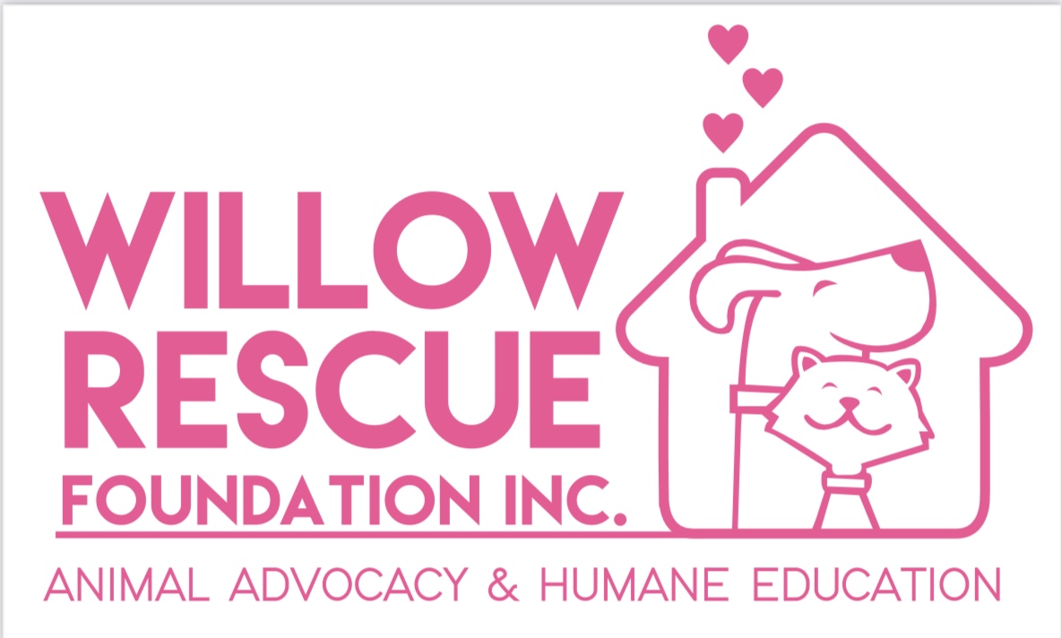 Willow Rescue Foundation, Willow Rescue Foundation Needs Your Help!