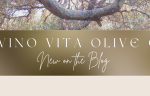 savino vita olive oil