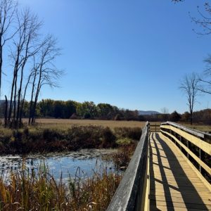 Appalachian Trail Boardwalk