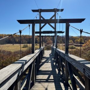 Appalachian Trail Boardwalk