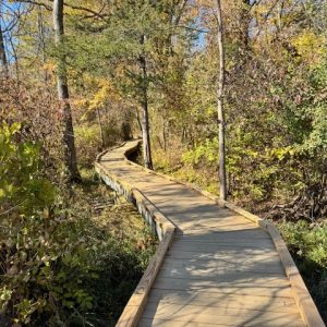 Appalachian Trail Boardwalk