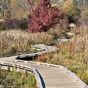 Appalachian Trail Boardwalk