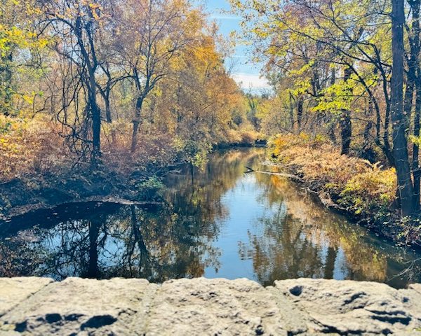 Perfect fall escape near Cranford