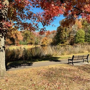 Perfect fall escape near Cranford