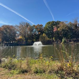 Perfect fall escape near Cranford