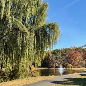 Perfect fall escape near Cranford